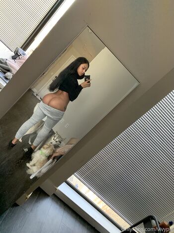 Vivypie