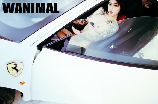 Wanimal Models