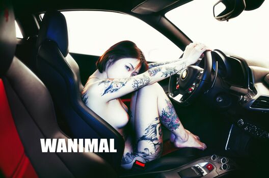 Wanimal Models