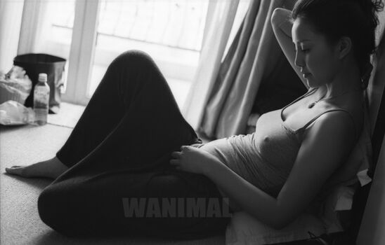 Wanimal Models