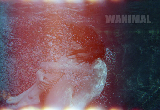Wanimal Models