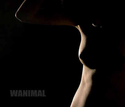 Wanimal Models