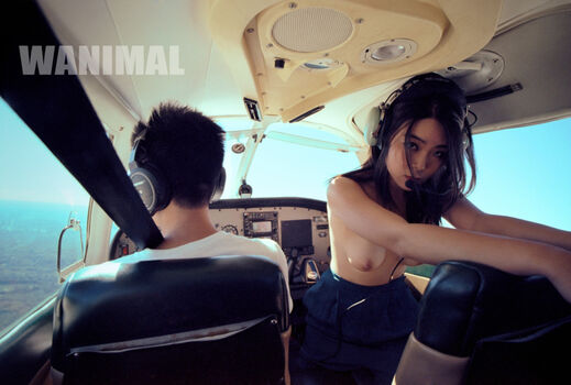 Wanimal Models