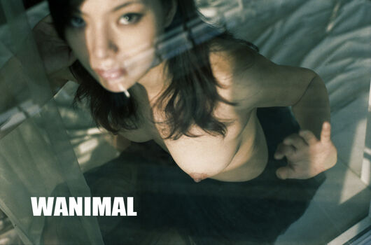 Wanimal Models
