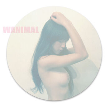Wanimal Models