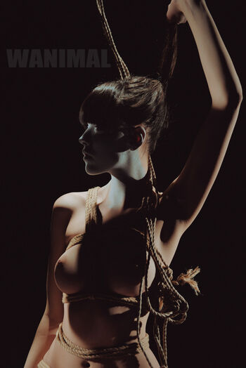 Wanimal Models