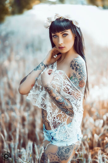 Wildcat Ink
