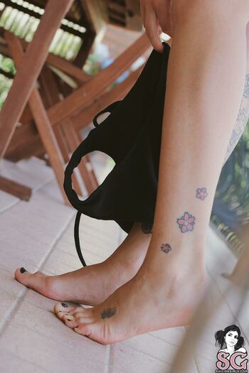 Wildfox