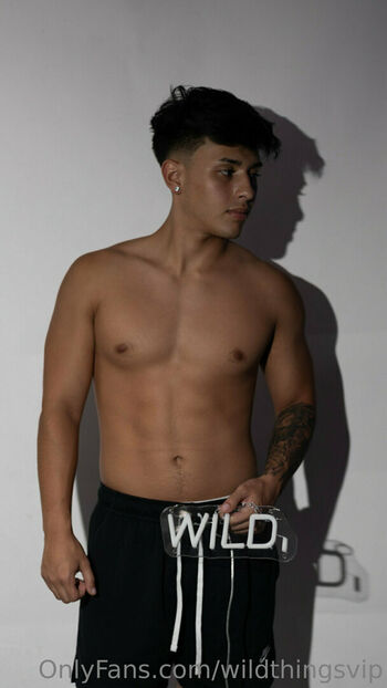 wildthingsvip
