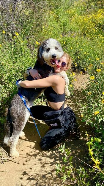Willow Shields