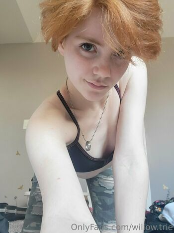 Willow.trie