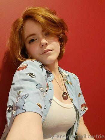 Willow.trie