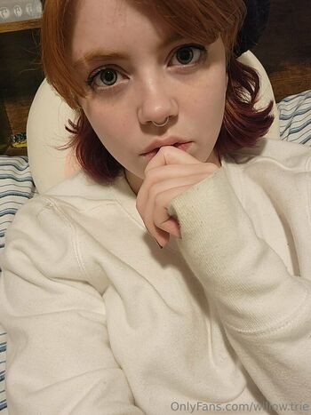 Willow.trie