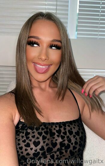 WillowGait_X