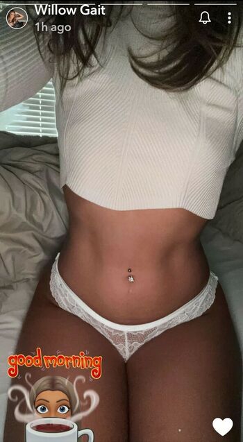 WillowGait_X