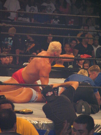 WWE Michelle McCool