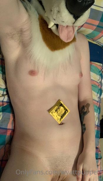 wyattpuppers
