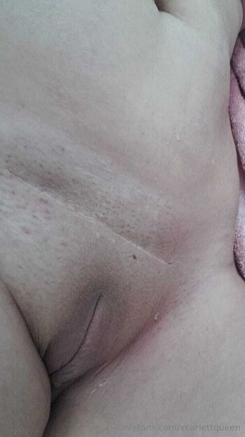 xcarlettqueen