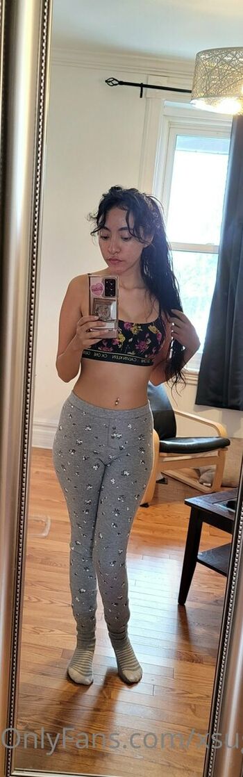 xsugarvulpesx