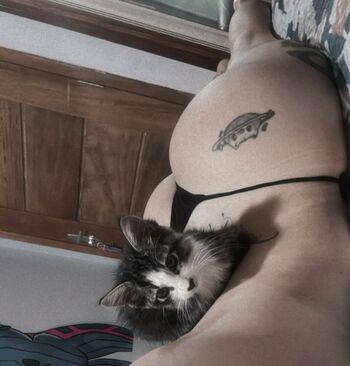 Yasmim Cat