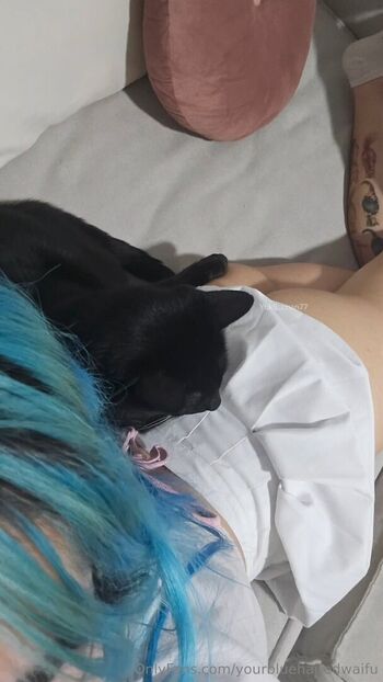 yourbluehairedwaifu