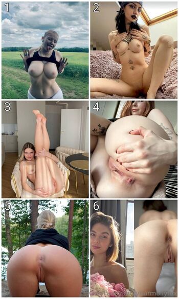 yourmollyfox