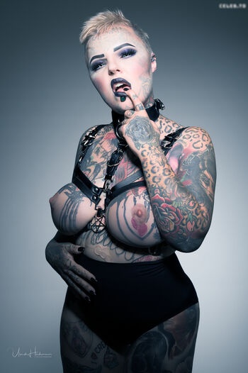 YukiCat | Felis Silvestris| Sick_fucks_69