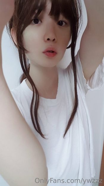ywzzz