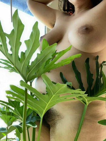 zarasutra