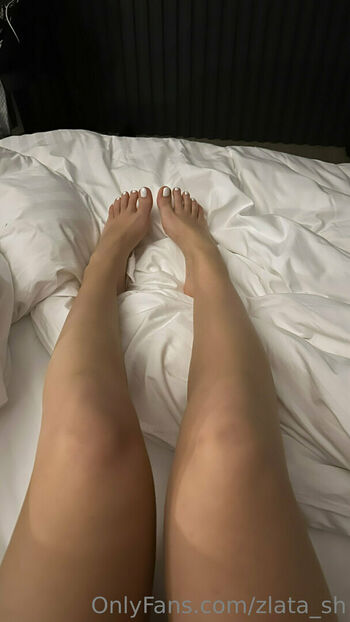 zlata_sh
